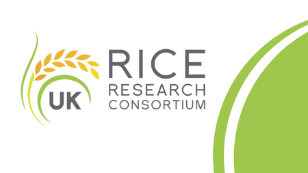 UK Rice Research Consortium Meeting: Rice and Climate Change 2021