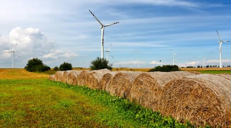 field and wind image