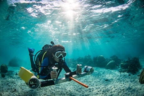 Scientist monitoring fish communities using Diver Operated Video (DOV) in Moorea, French Polynesia