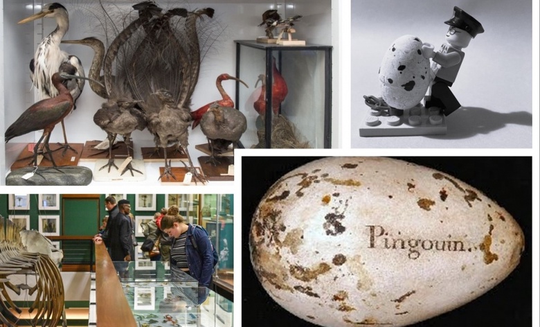 Easter at the Zoology Museum