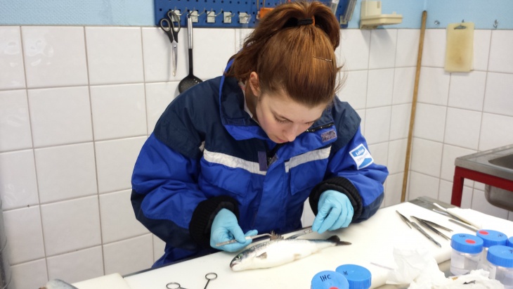 Student investigating fish in a lab