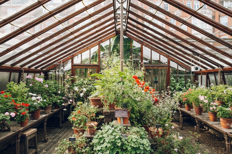Chelsea Physic Garden greenhouse