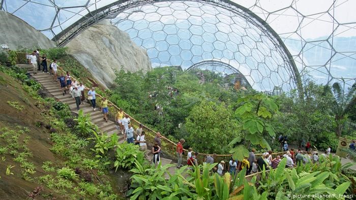 Inside one of the biomes of the Eden Project in Cornwall
