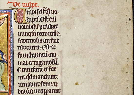 Initial indicator 'v'. Detail from f.16r