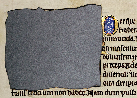 Detail from f.54r - Of the Partridge