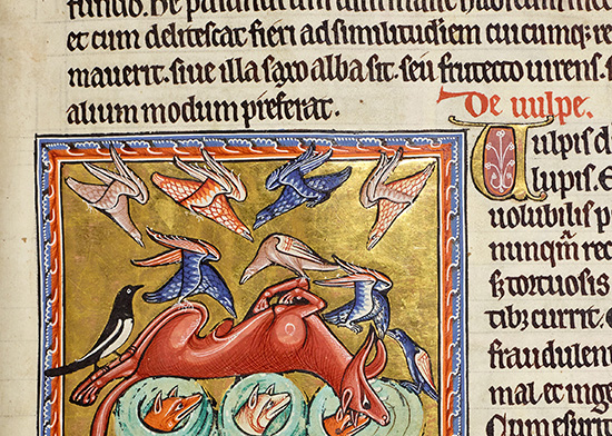 Ruling continues under the illustration. Detail from f.16r