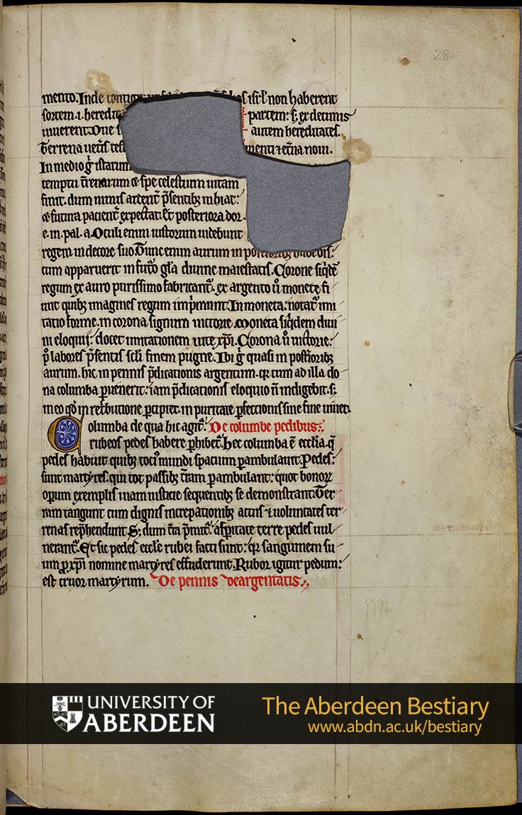 Folio 28r - De columbe pedibus; Of the feet of the dove. De pennis deargentatis; Of its feathers. | The Aberdeen Bestiary | The University of Aberdeen