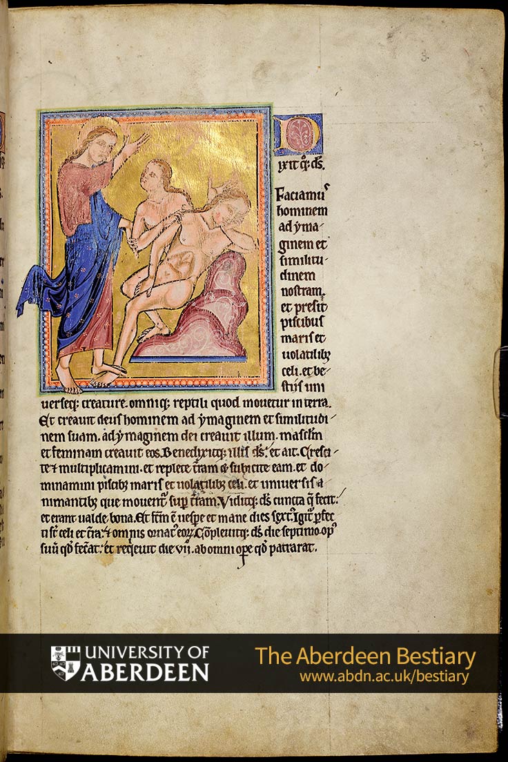 Folio 3r - Creation of man | The Aberdeen Bestiary | The University of Aberdeen