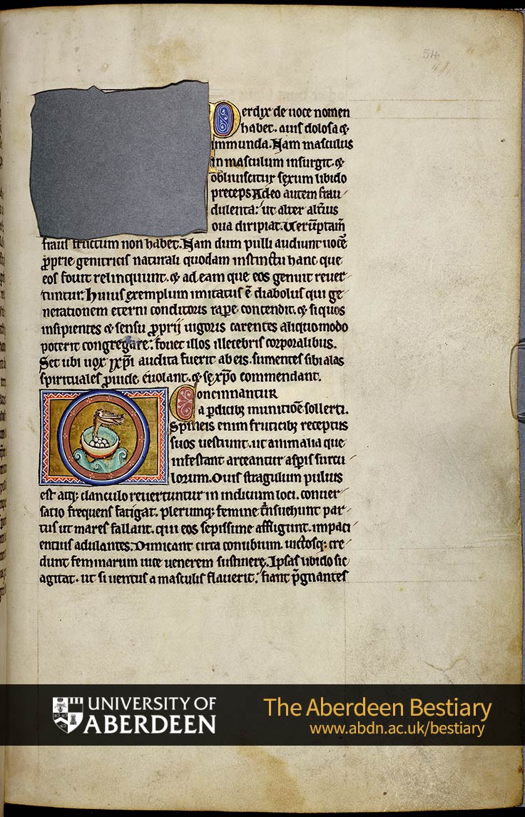 Folio 54r - [De perdice]; Of the partridge | The Aberdeen Bestiary | The University of Aberdeen