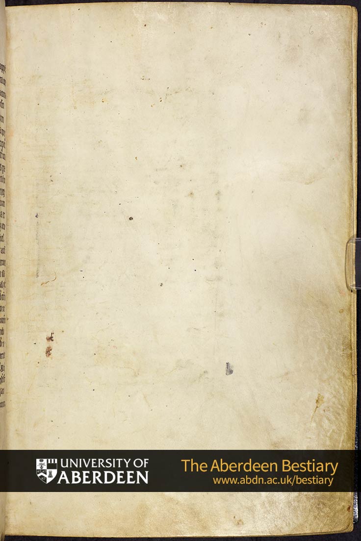 Folio 6r - blank page | The Aberdeen Bestiary | The University of Aberdeen