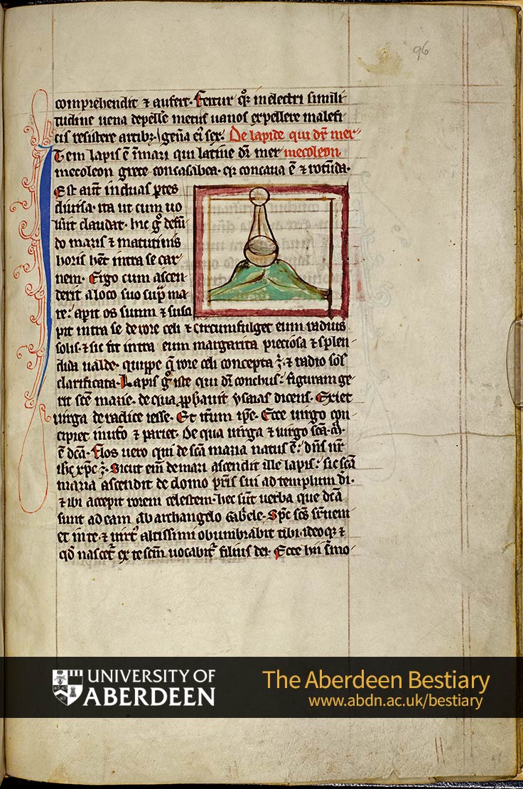 Folio 96r - the adamas stone, continued. De lapide qui dicitur mermecoleon; Of the stone called mermecoleon | The Aberdeen Bestiary | The University of Aberdeen