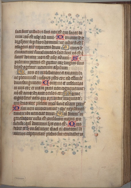 Burnet
Psalter  image