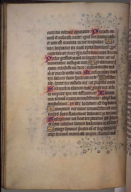 Burnet
Psalter  image