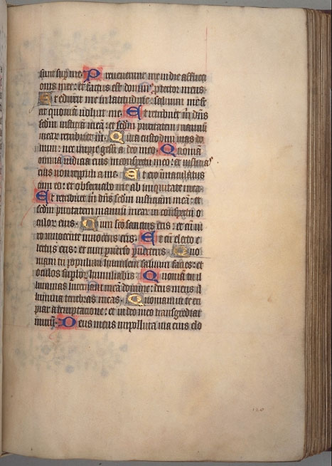 Burnet
Psalter  image