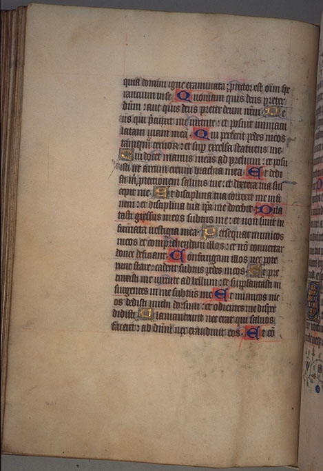 Burnet
Psalter  image