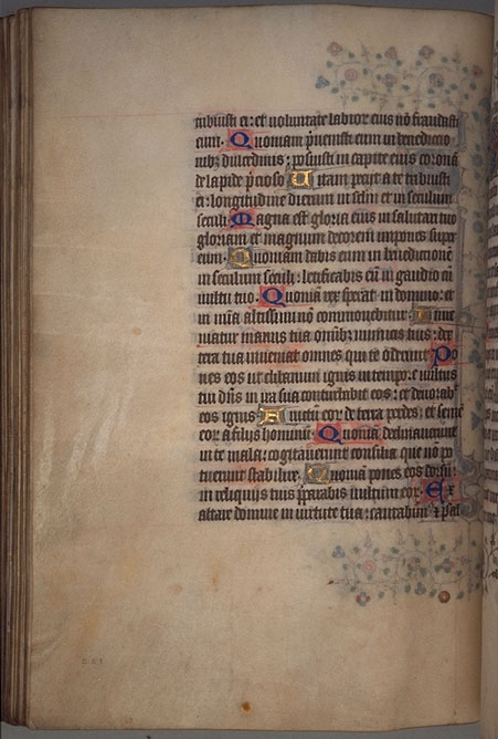 Burnet
Psalter  image