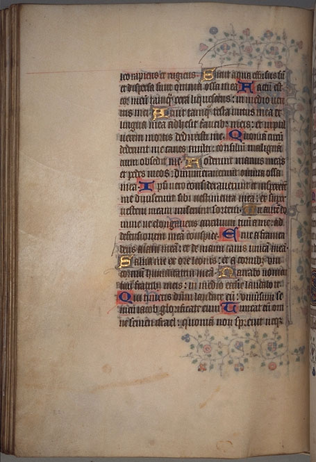 Burnet
Psalter  image
