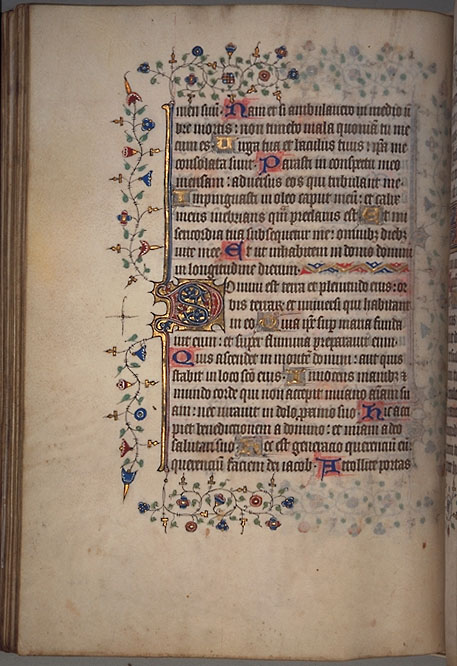 Burnet
Psalter  image