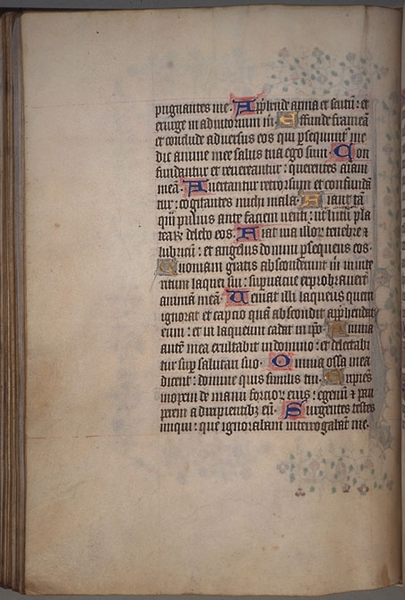 Burnet
 Psalter  image