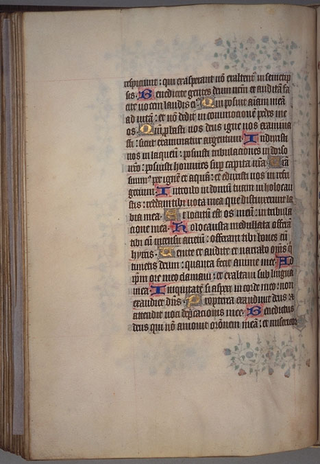 Burnet
 Psalter image