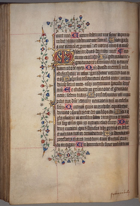 Burnet
 Psalter image