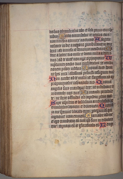 Burnet
 Psalter image