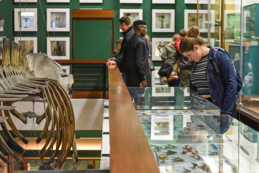 people visiting the Zoology Museum