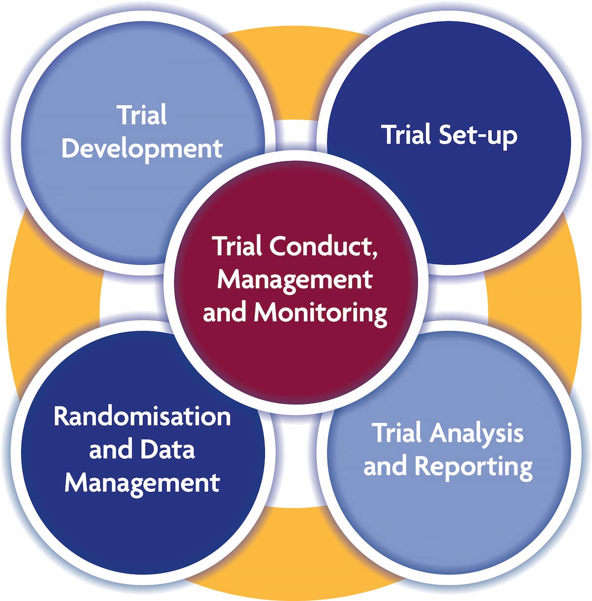 Chart with 5 circles