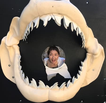Shark jaw skeleton with womans head in