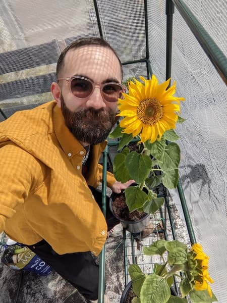 Bearded man next to sunflower