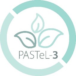 logo of PASTEL3