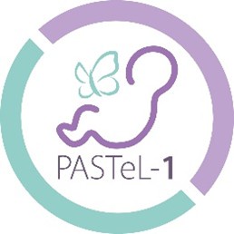 logo for PASTEL1