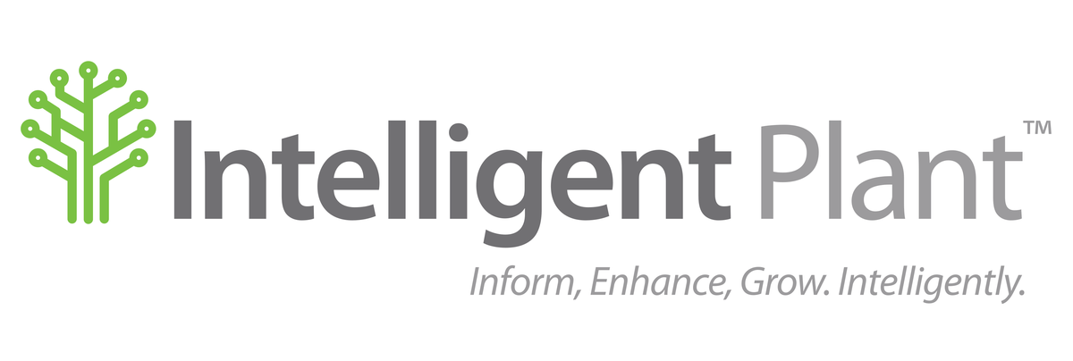 intelligent logo
