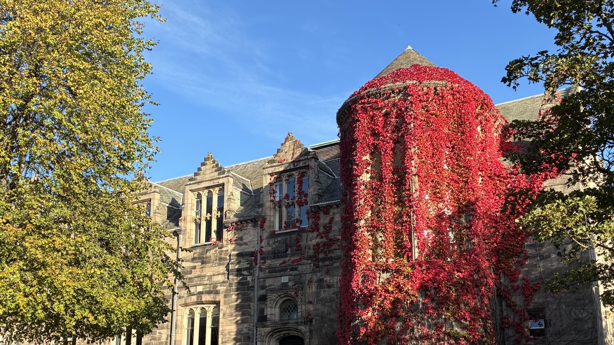 An image of New King's on a sunny day. Red ivy climbs up the building.