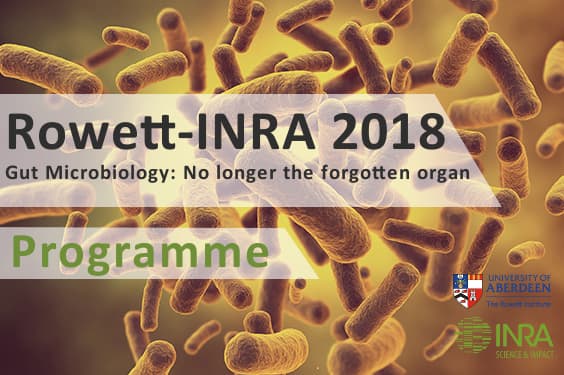 gut microbiology programme