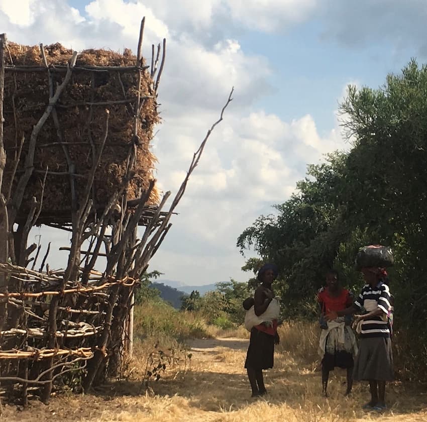 rural zimbabwe