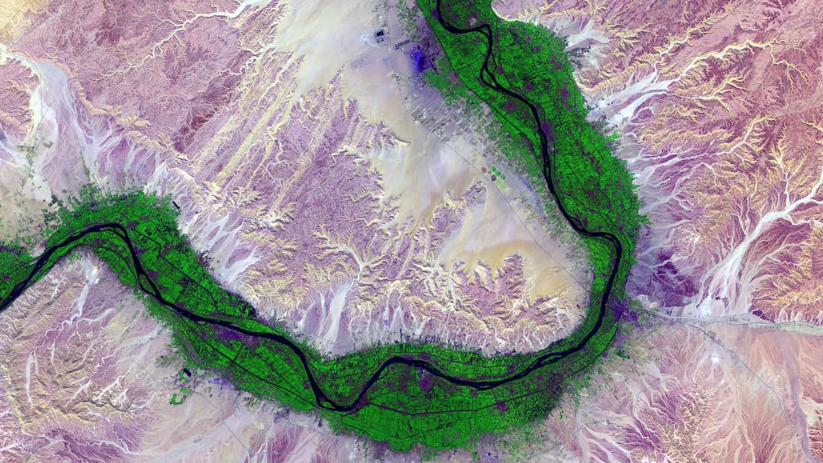 aerial map in pink and green