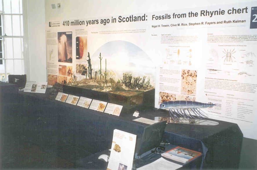 View of the exhibit from the right.