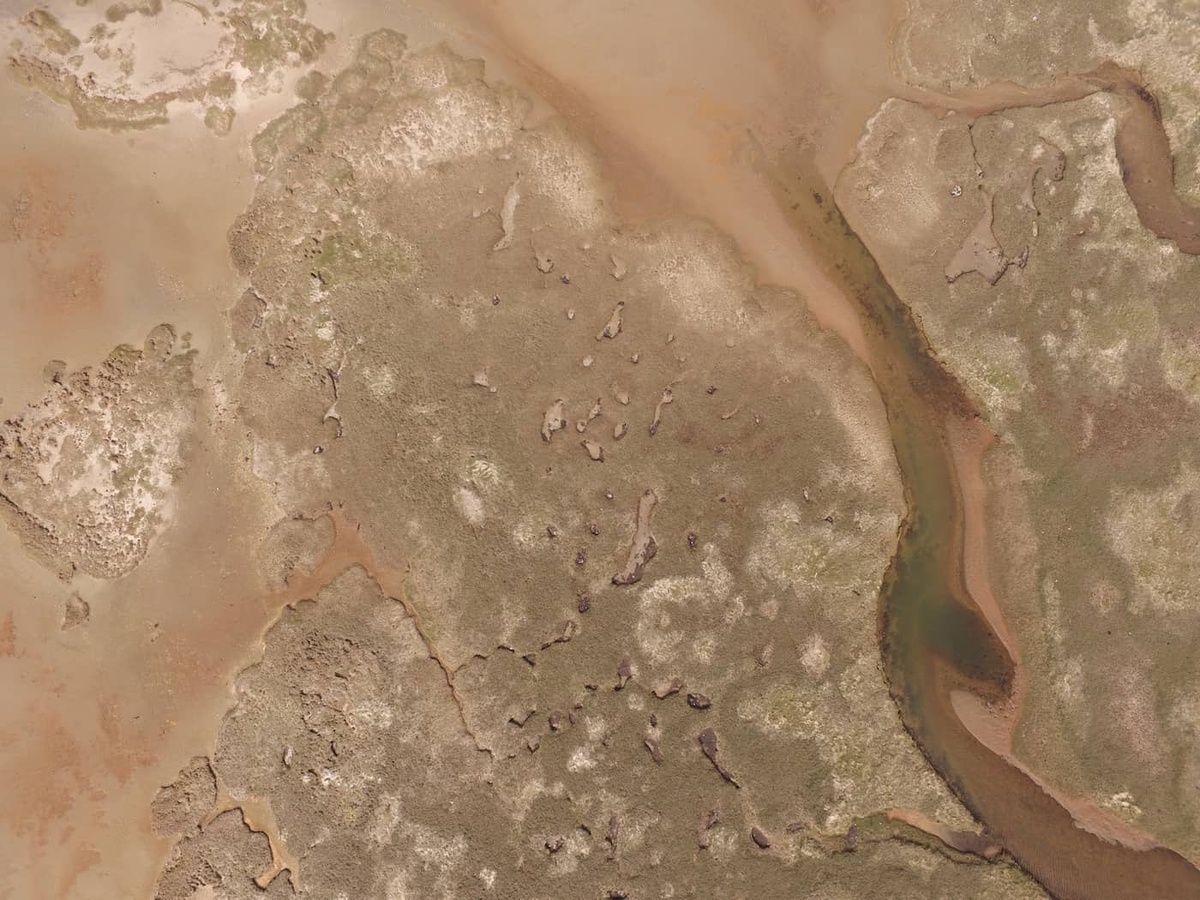 aerial view of landscape