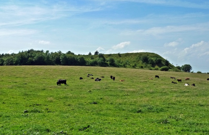 photo of Rankinston coal bing