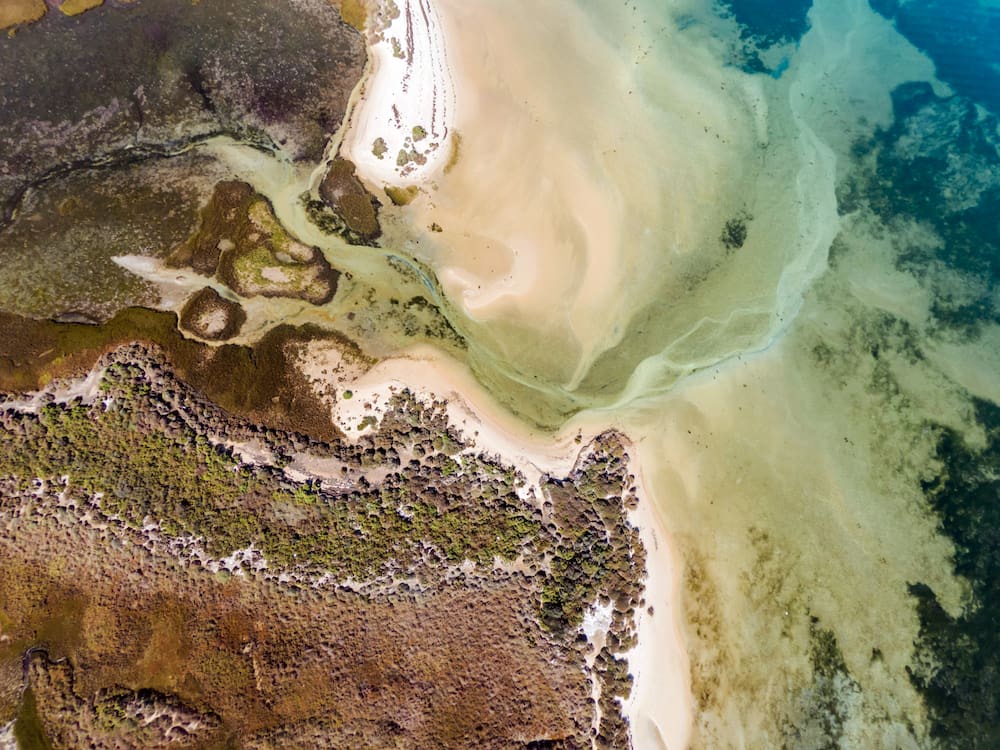 Overhead view of a river basin with sandy water meeting clear water