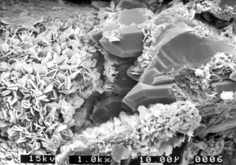 SEM image of diagenetic cements in a sandstone from the Rhynie chert sequence. This shows platy grain-coating chlorite-smectite clays (left and below) with later diagenetic quartz crystals (center and above) infilling a void or 'pore space' between detrital mineral grains.
