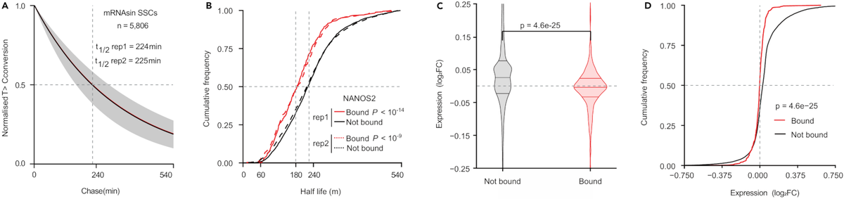 Graphs comparing expression and mRNA turnover