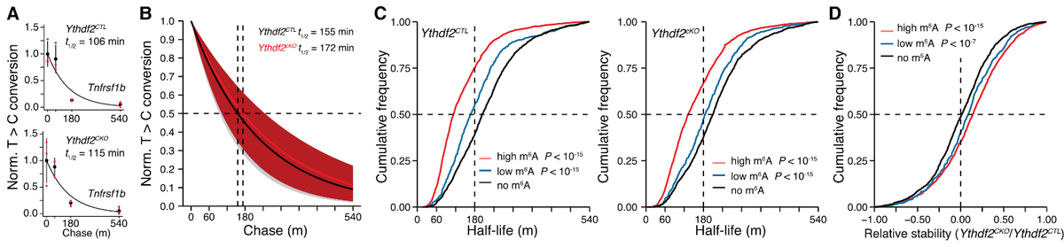 Graphs comparing mRNA turnover results to meRIP-seq peaks