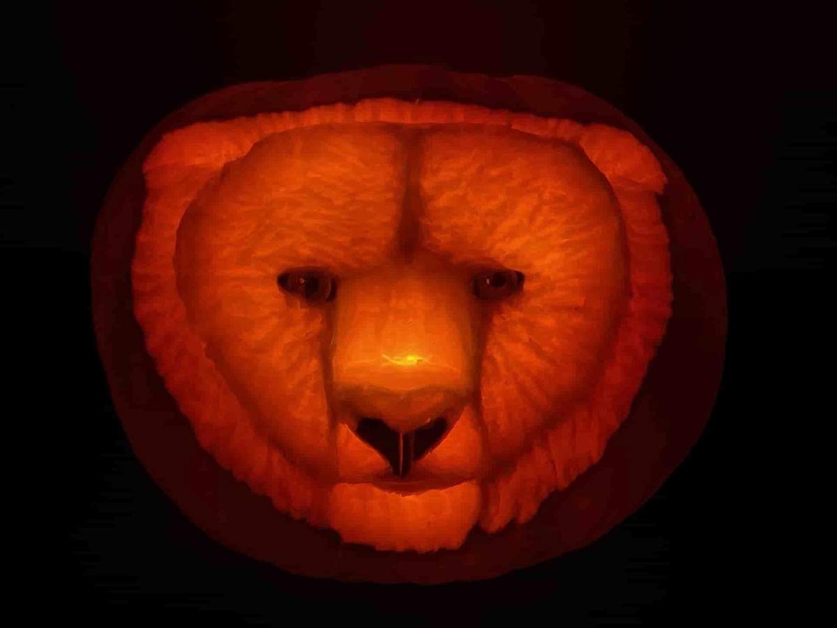 A pumpkin carved with face of a bear. It is in a dark room lit from the inside
