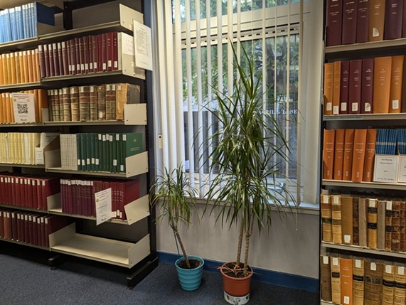 Plants in a library