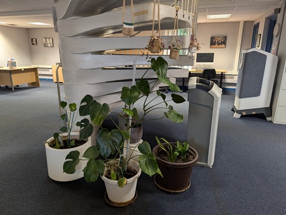 Plants in a library
