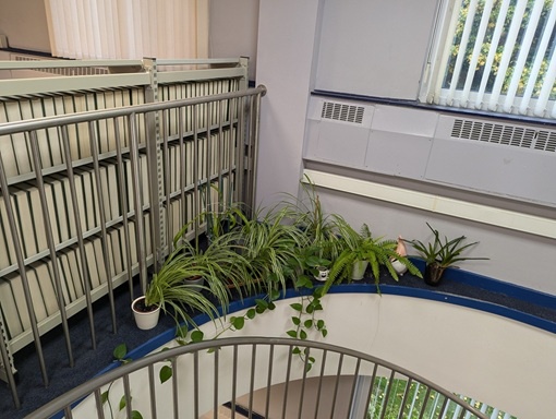 Plants in a library