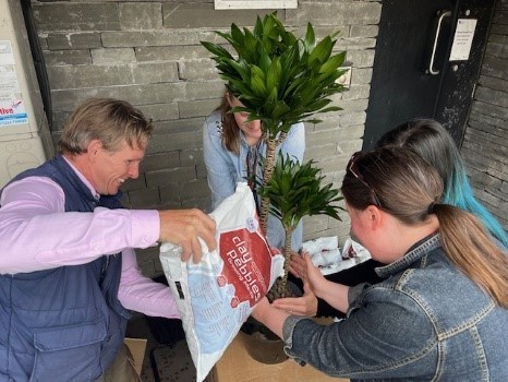 Plants in Sir Duncan Rice Library