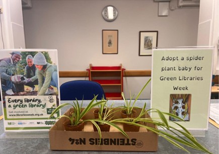 Medical Library Plant Giveaway